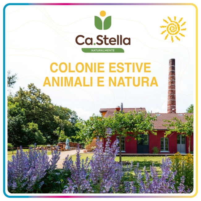 Quadrotto colonie estive_2023