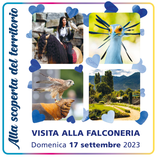 230917 asi Falconeria Quadrotto